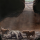 Image for article titled This mysterious cave was a deathtrap for thousands of years